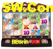 BBwin Bet